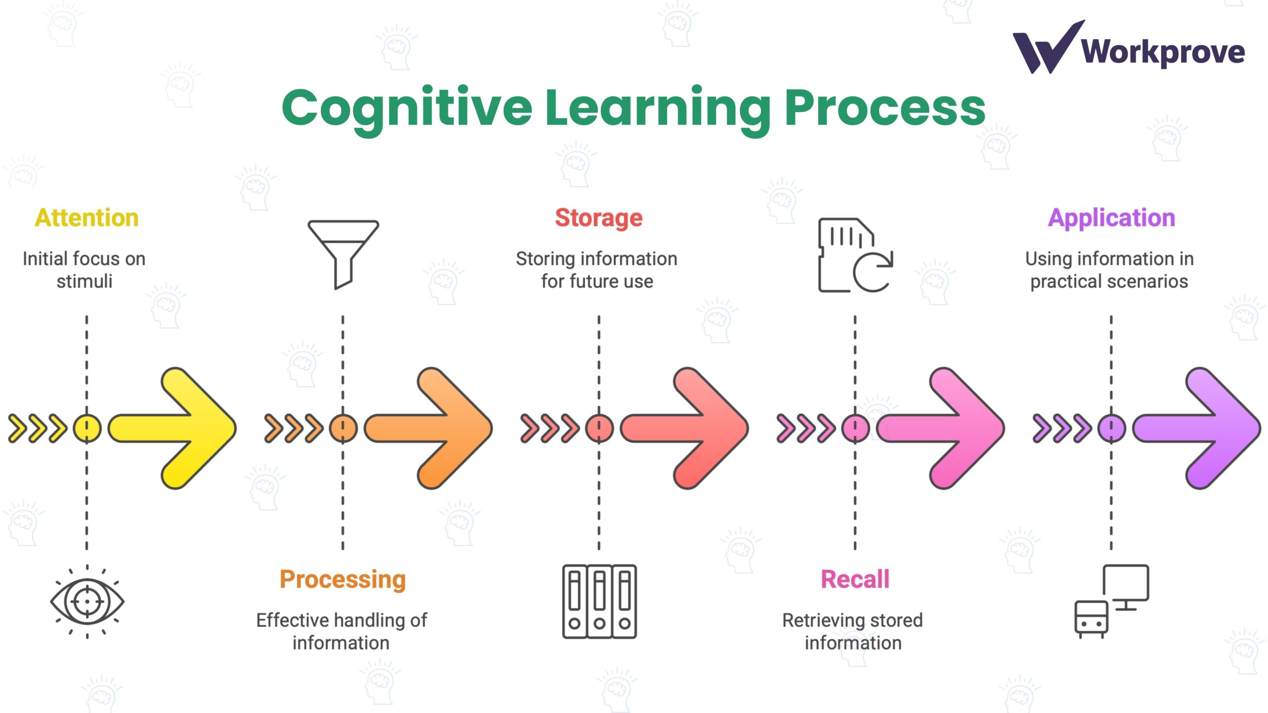 Infographic showing the five stages of the cognitive learning process: Attention, Processing, Storage, Recall, and Application, connected in a circular flow with arrows.